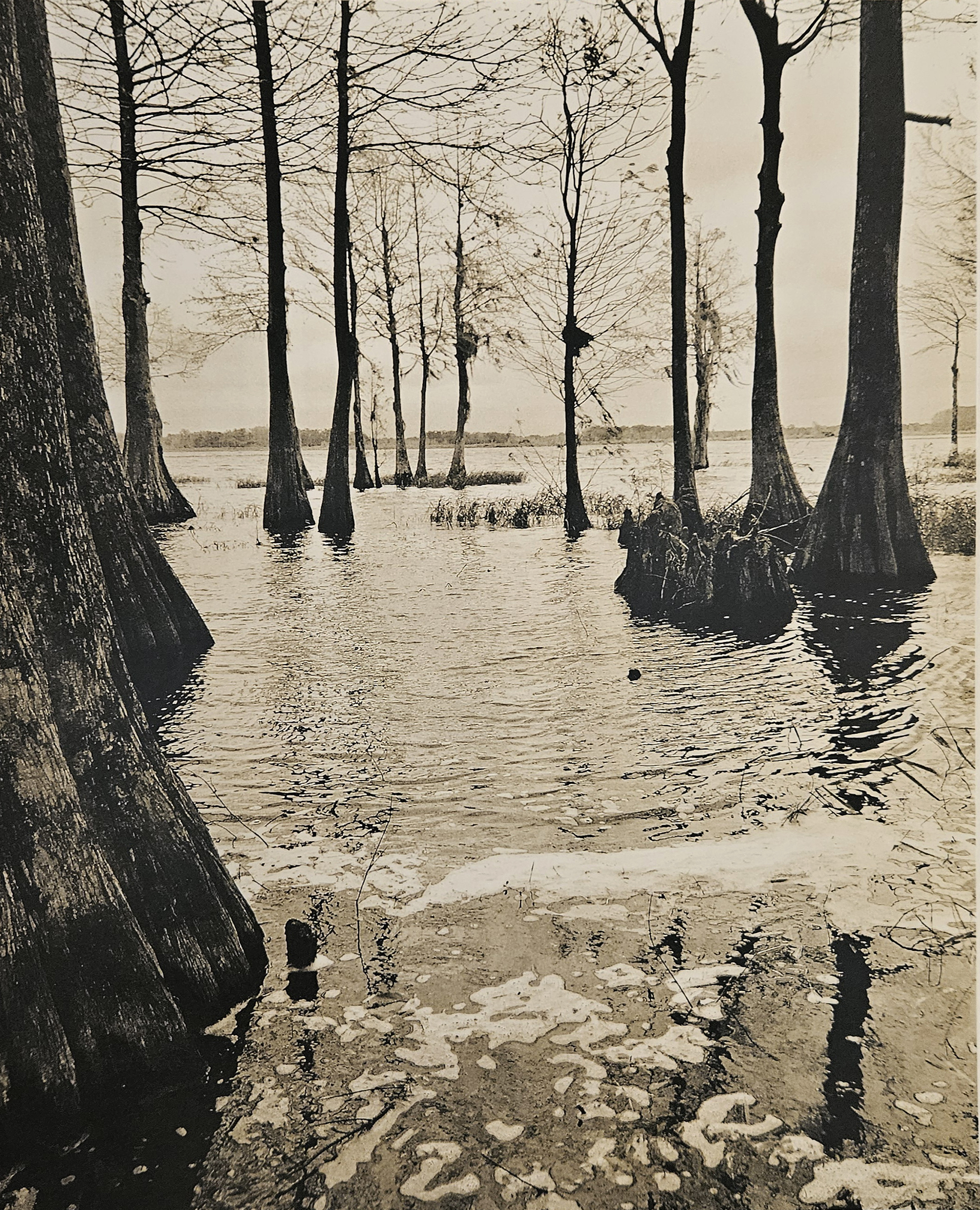 1747939830-REBECCA PUJALS JONES PHOTO CYPRESS LAKE